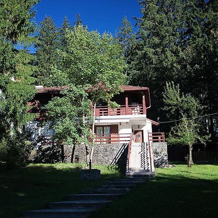 Vila Carolyne Predeal Exteriér fotografie