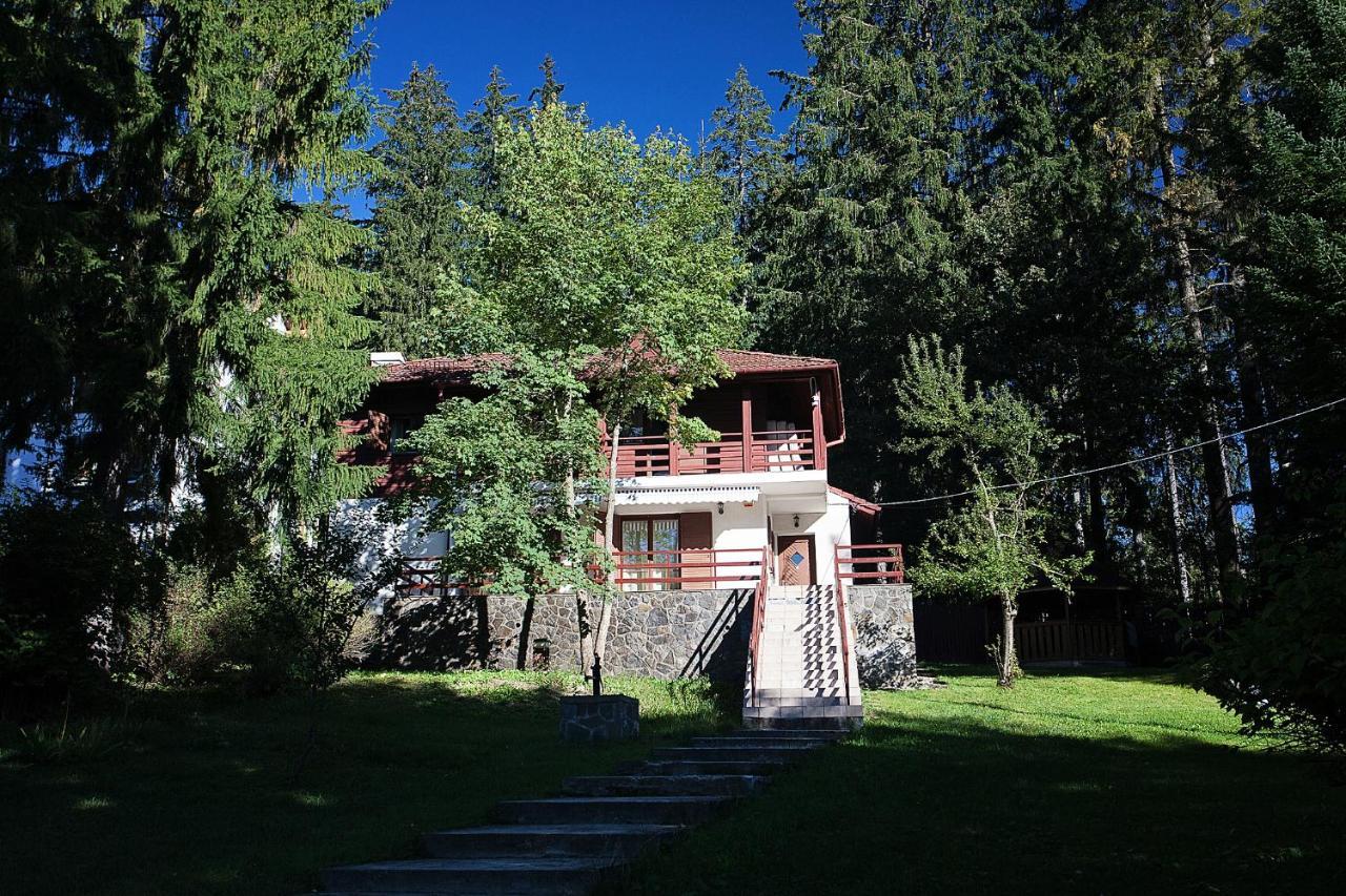 Vila Carolyne Predeal Exteriér fotografie