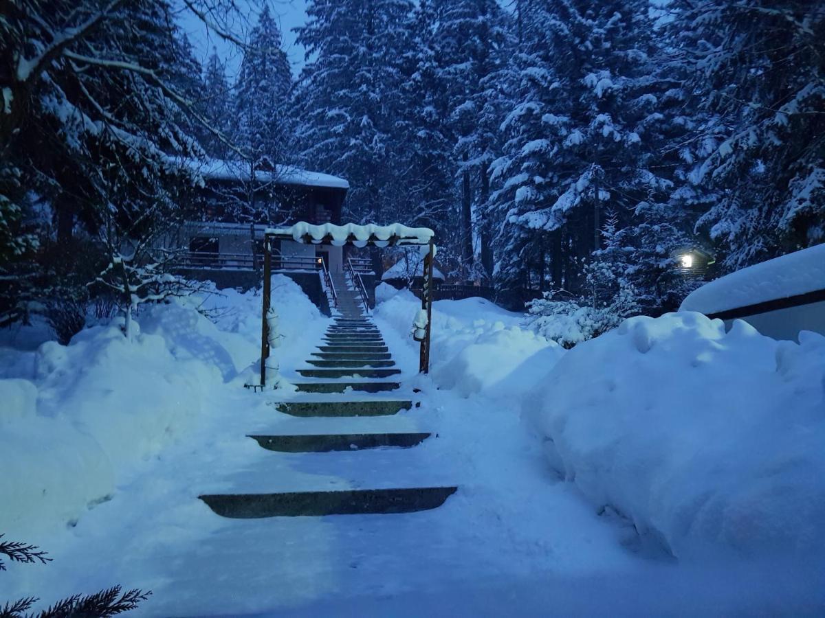 Vila Carolyne Predeal Exteriér fotografie
