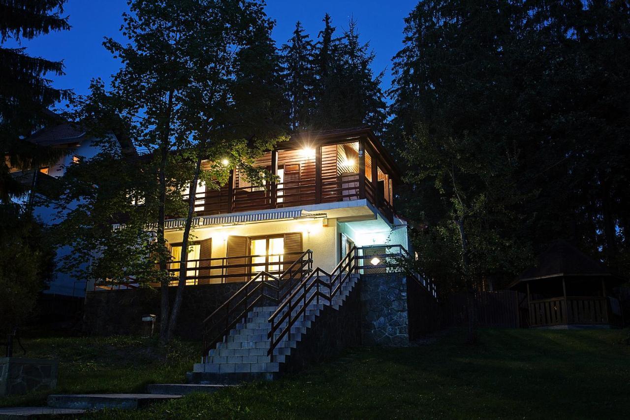 Vila Carolyne Predeal Exteriér fotografie
