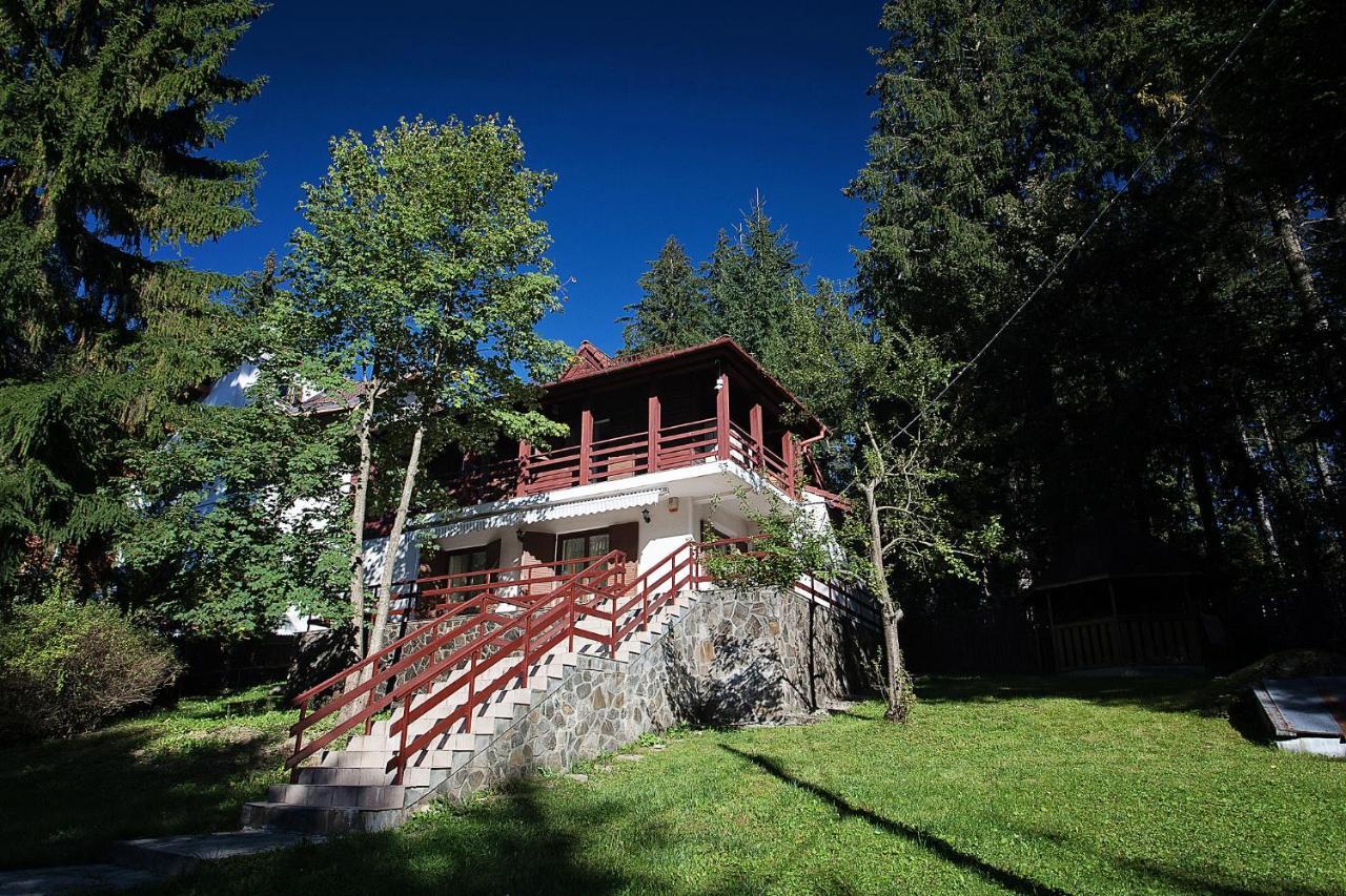 Vila Carolyne Predeal Exteriér fotografie